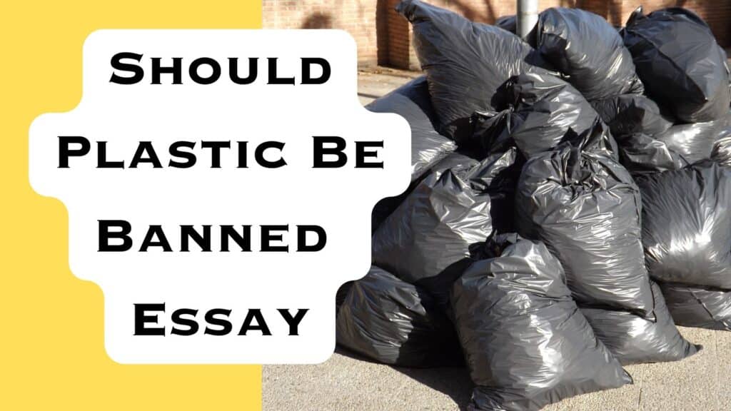 Should Plastic Be Banned Essay | How To Write The Essay